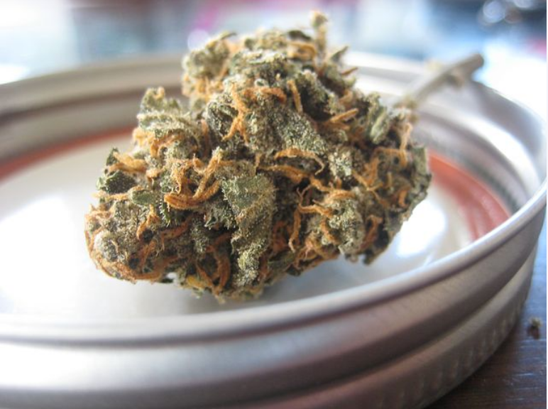 Das aus Cannabisblüten gewonnene CBD zeigt verblüffende Effekte laut Forschungsergebnissen